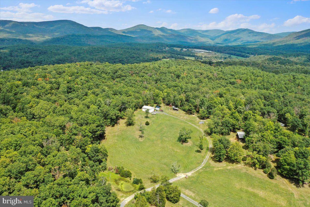 11252 Supinlick Ridge Property Photo 13