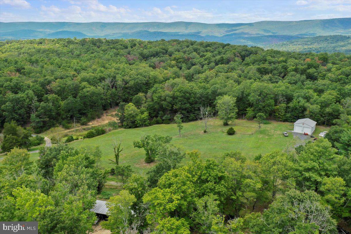 11252 Supinlick Ridge Property Photo 14