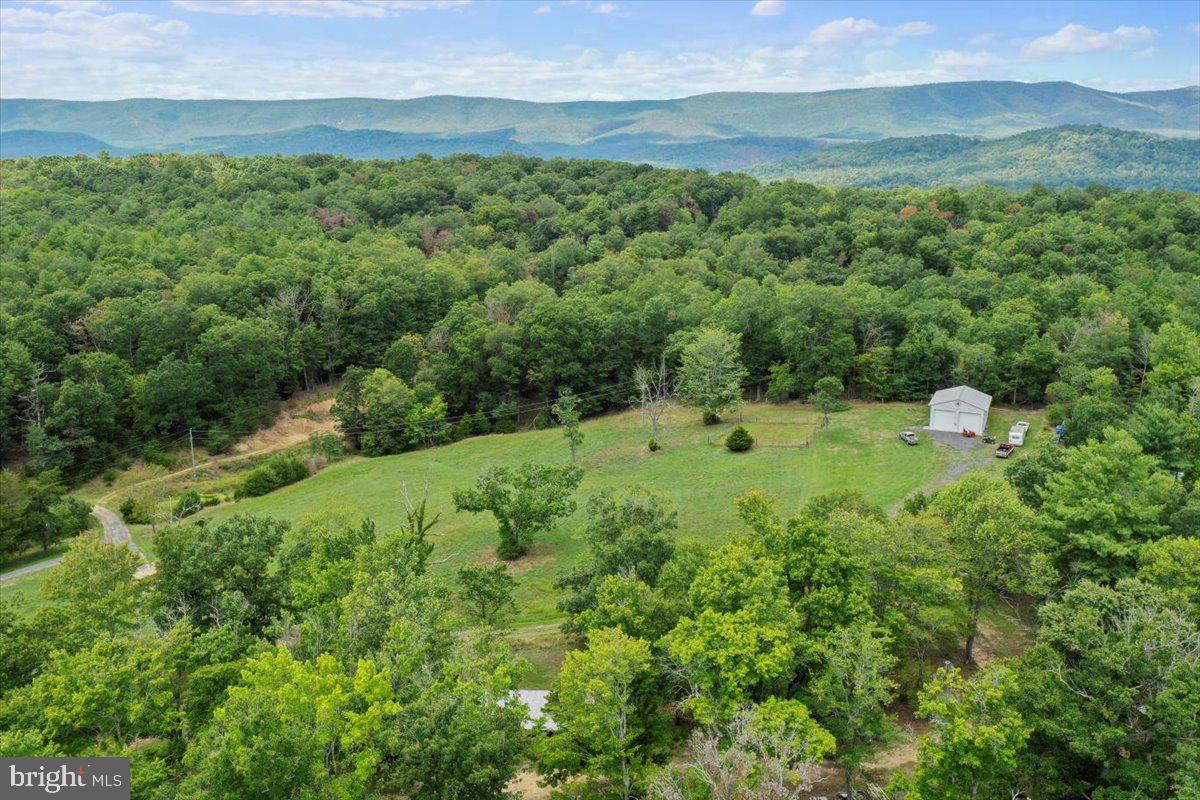 11252 Supinlick Ridge Property Photo 15