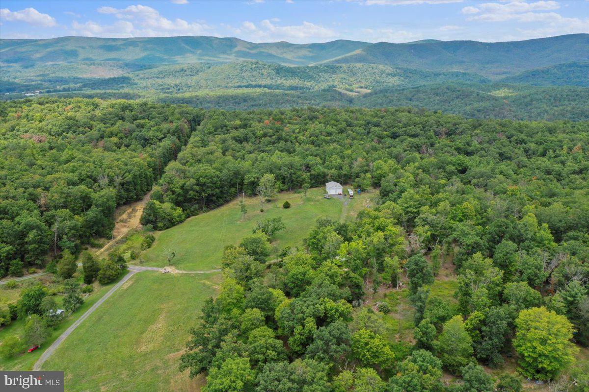 11252 Supinlick Ridge Property Photo 20