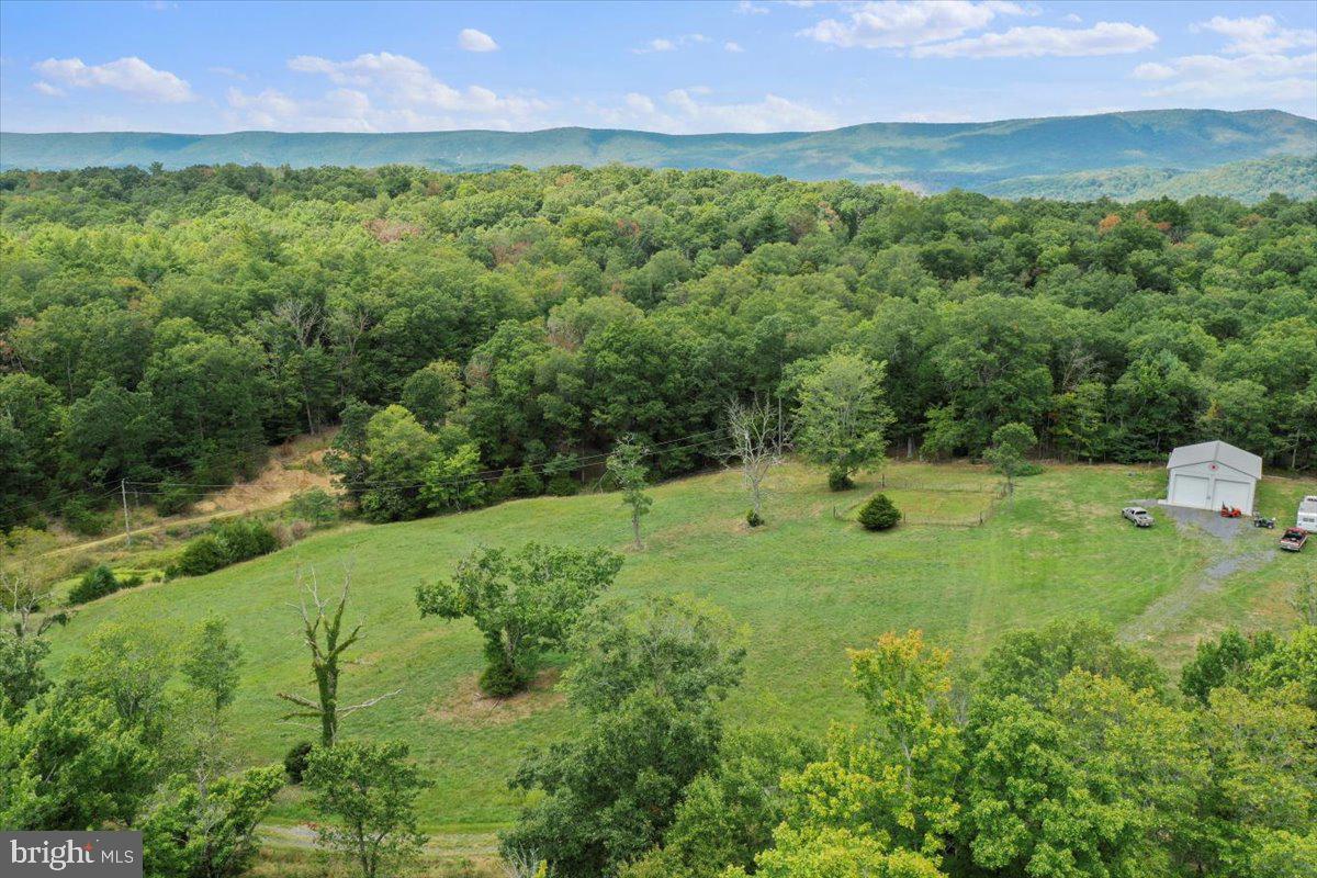 11252 Supinlick Ridge Property Photo 21