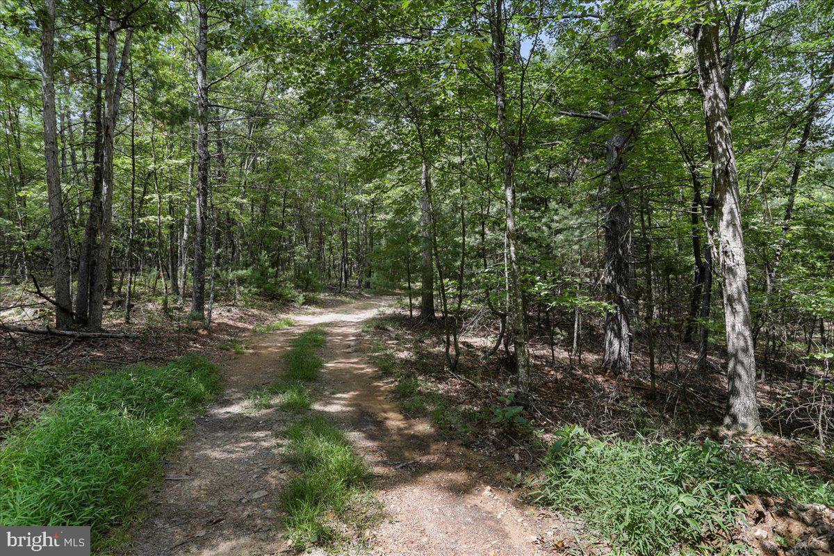 11252 Supinlick Ridge Property Photo 30