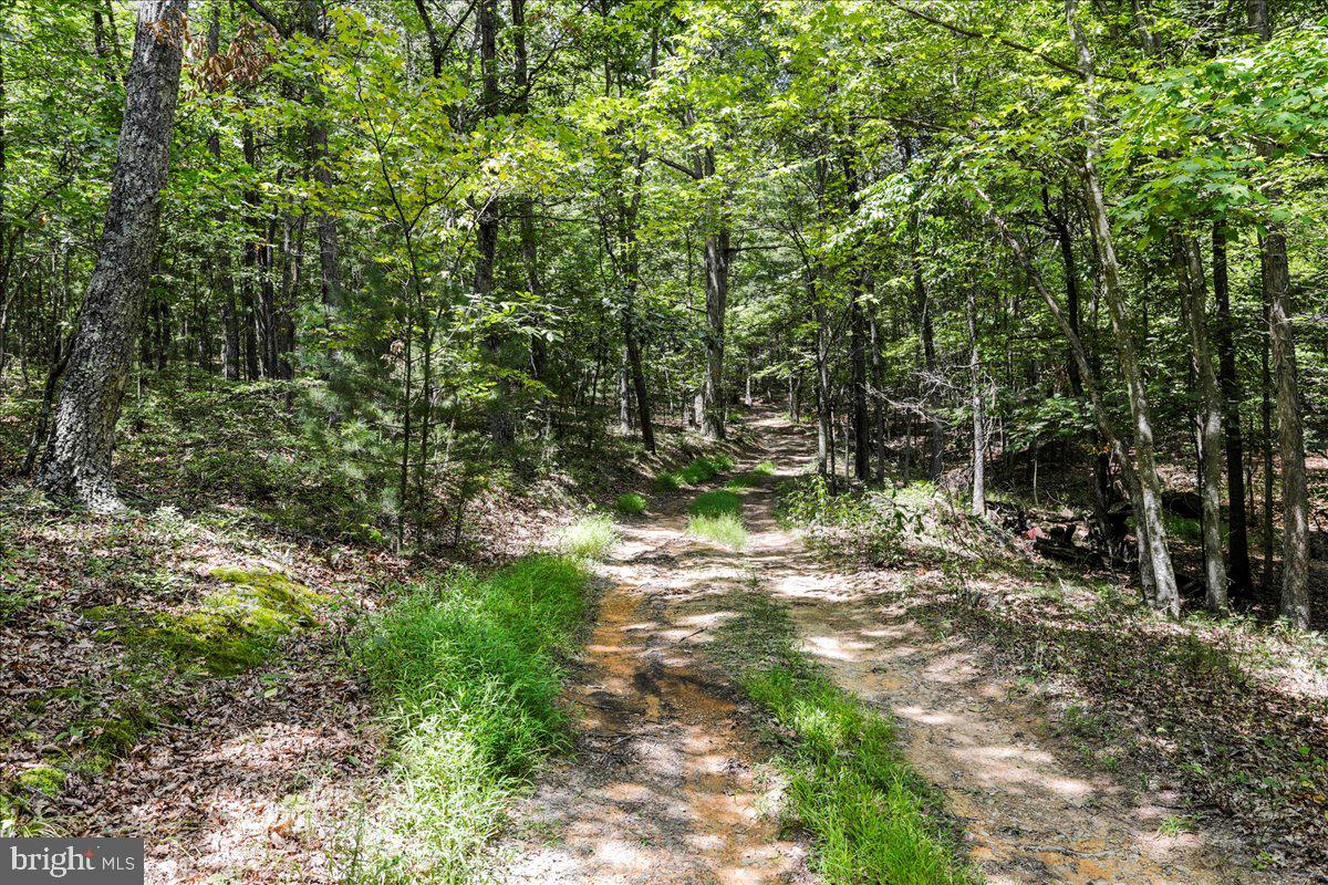 11252 Supinlick Ridge Property Photo 31