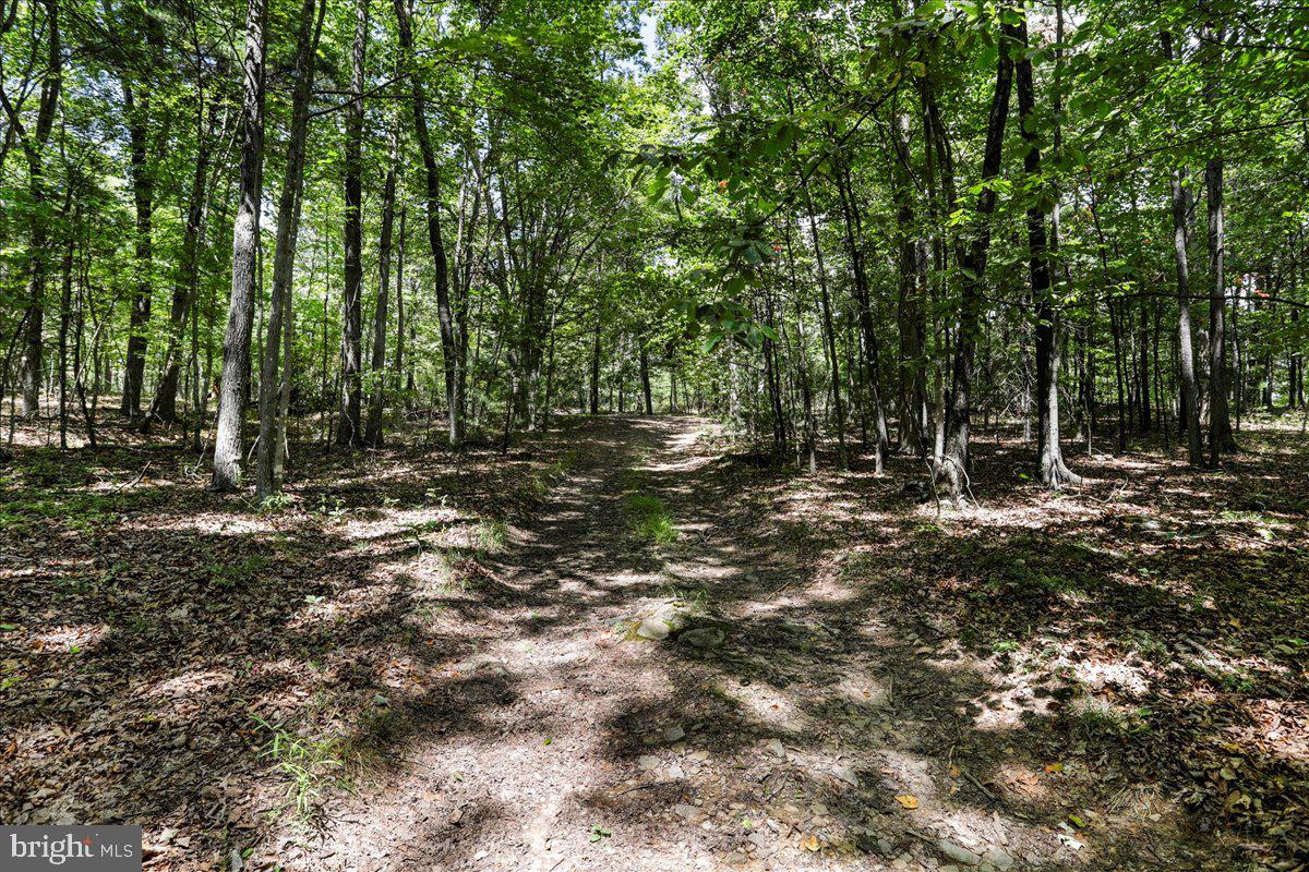 11252 Supinlick Ridge Property Photo 32