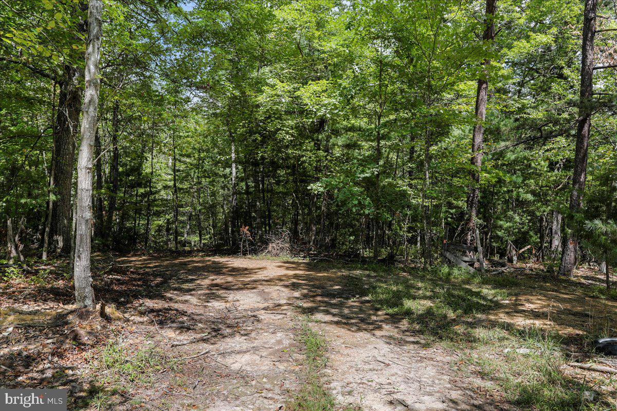 11252 Supinlick Ridge Property Photo 33