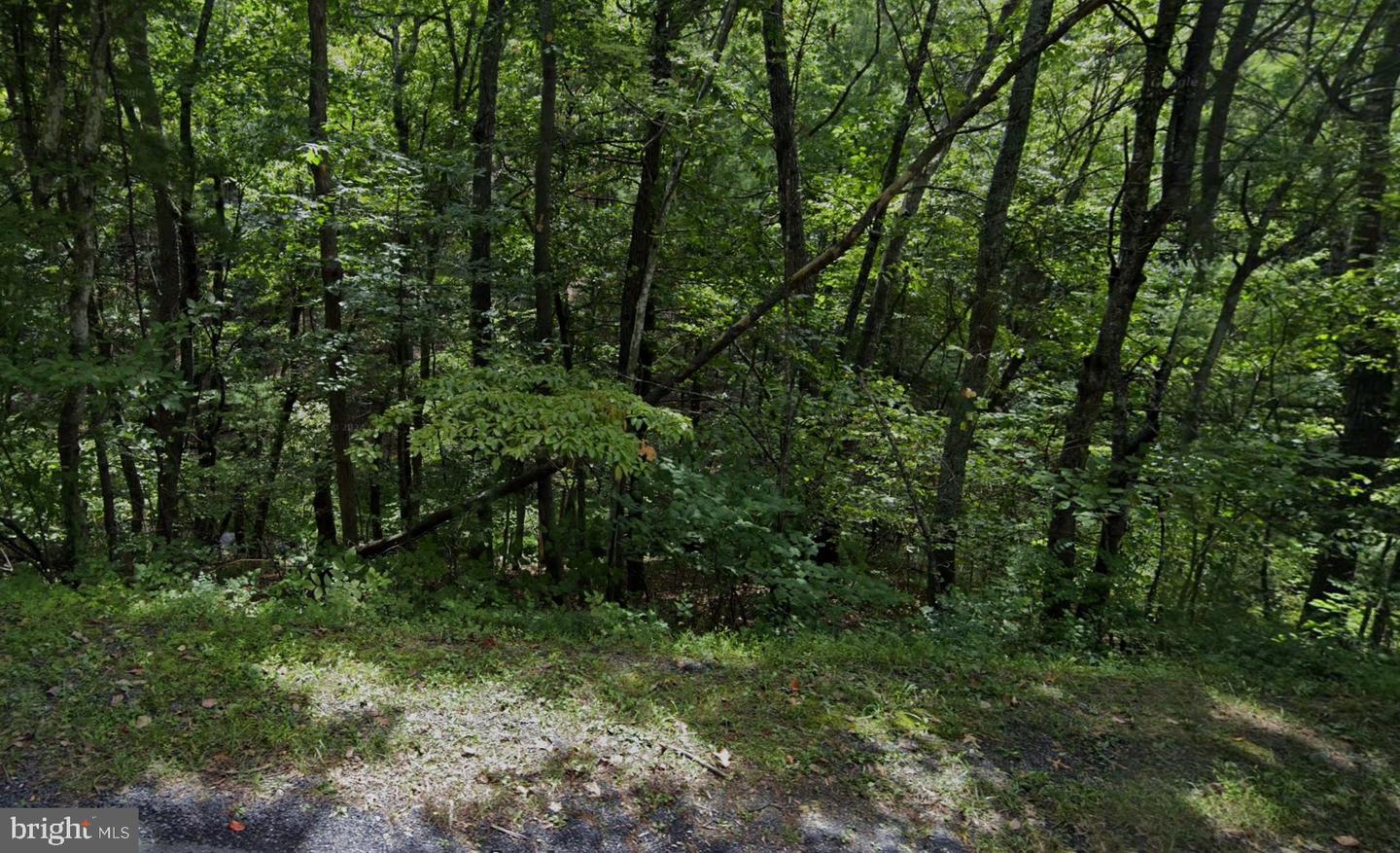 Deloris Property Photo