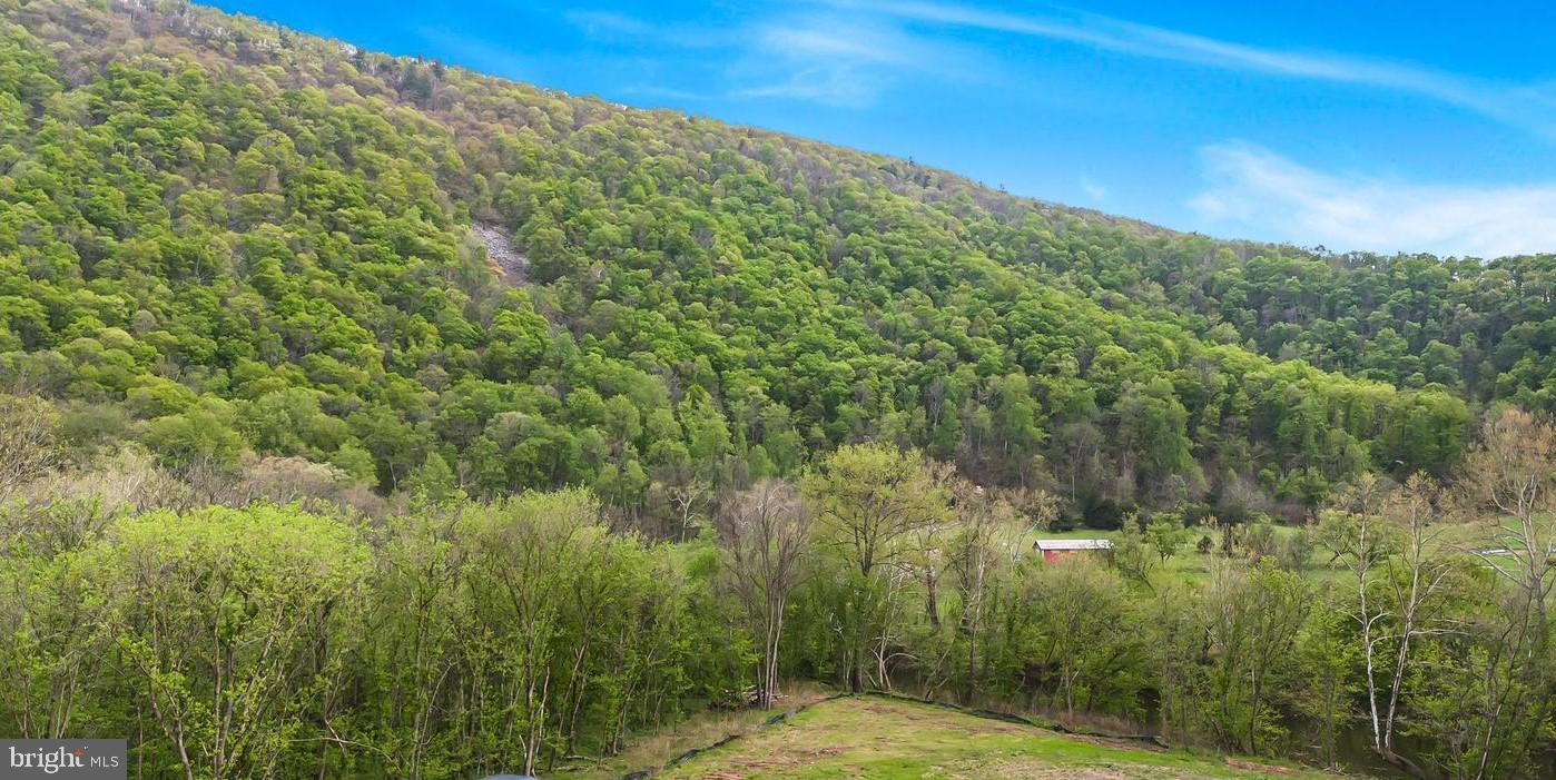 Lot 14 Black Bear Rd Property Photo 4