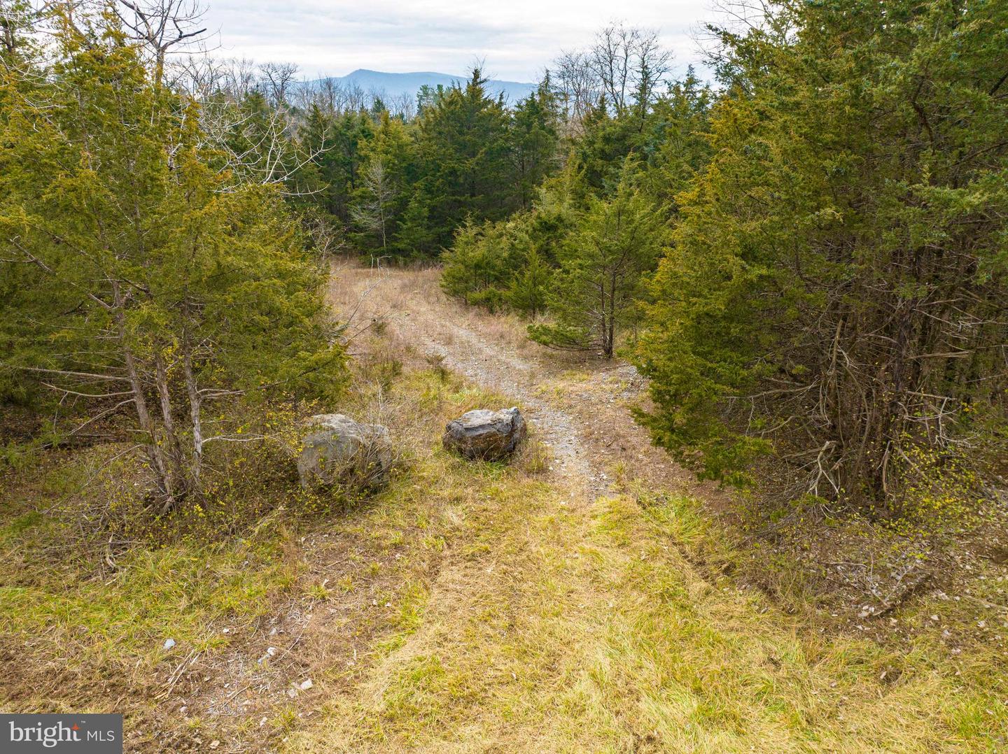 Lot 2 Property Photo 36