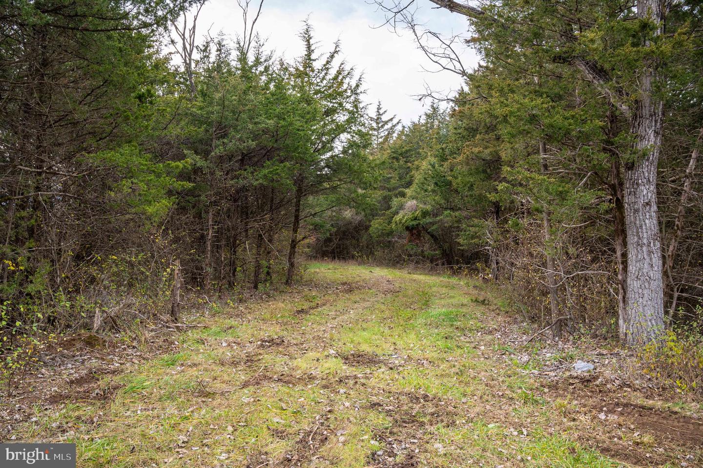 Lot 2 Property Photo 46