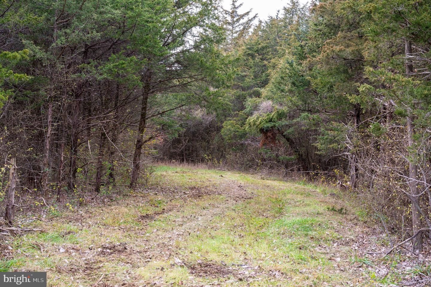 Lot 2 Property Photo 47