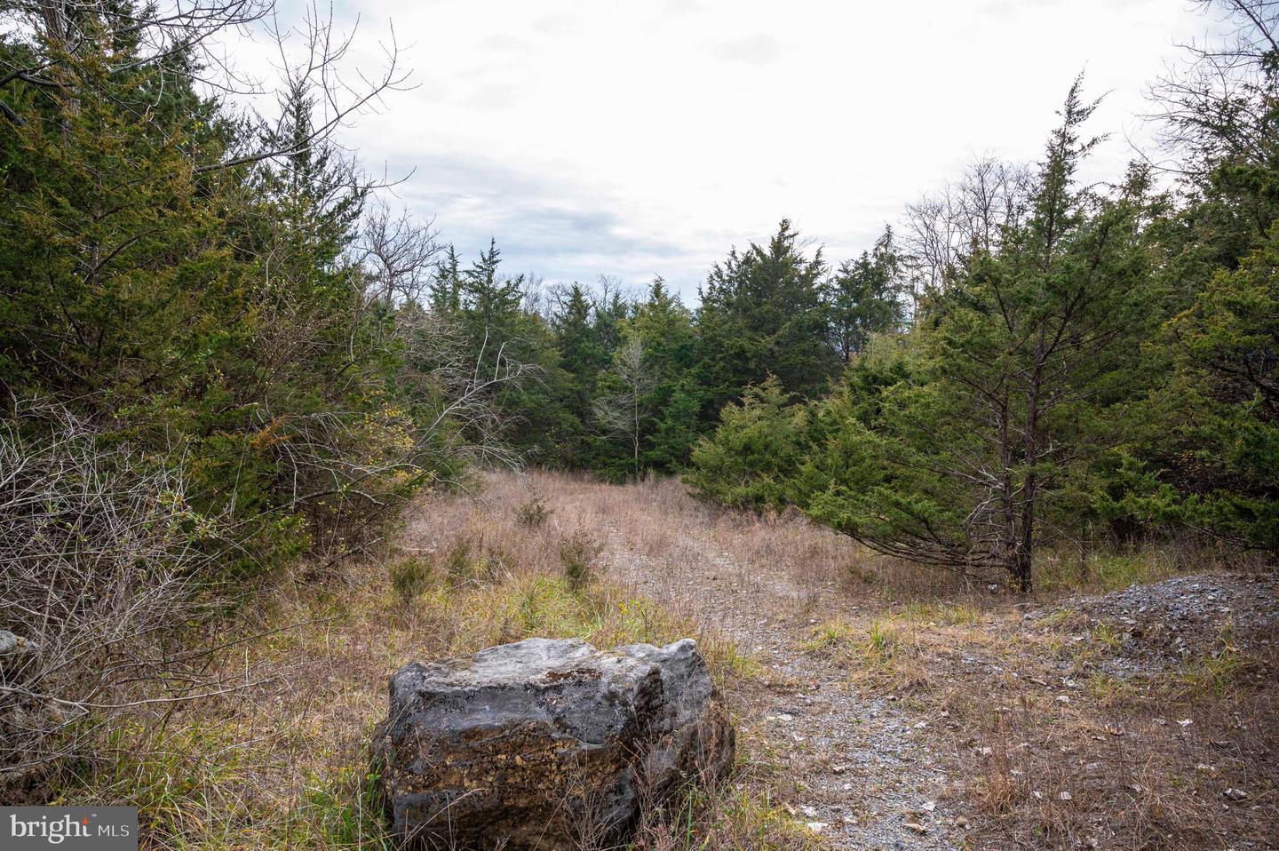 Lot 2 Property Photo 48