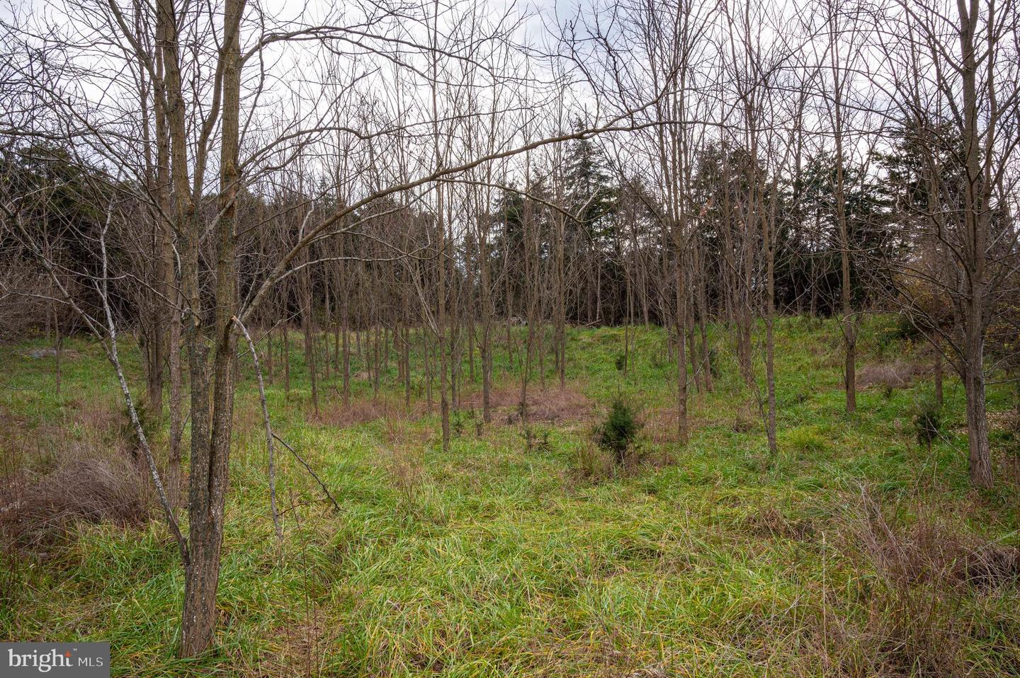Lot 2 Property Photo 55