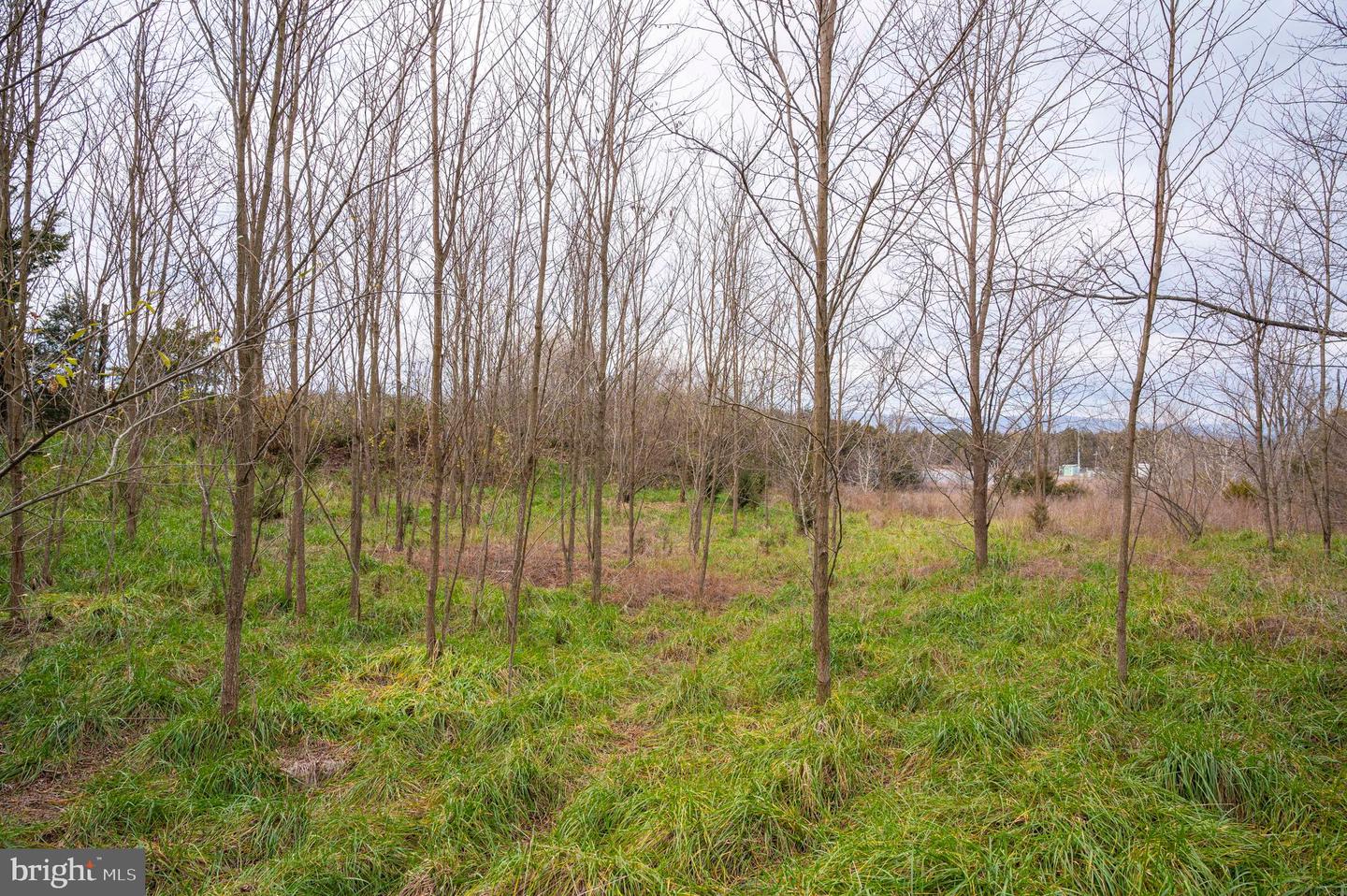 Lot 2 Property Photo 57