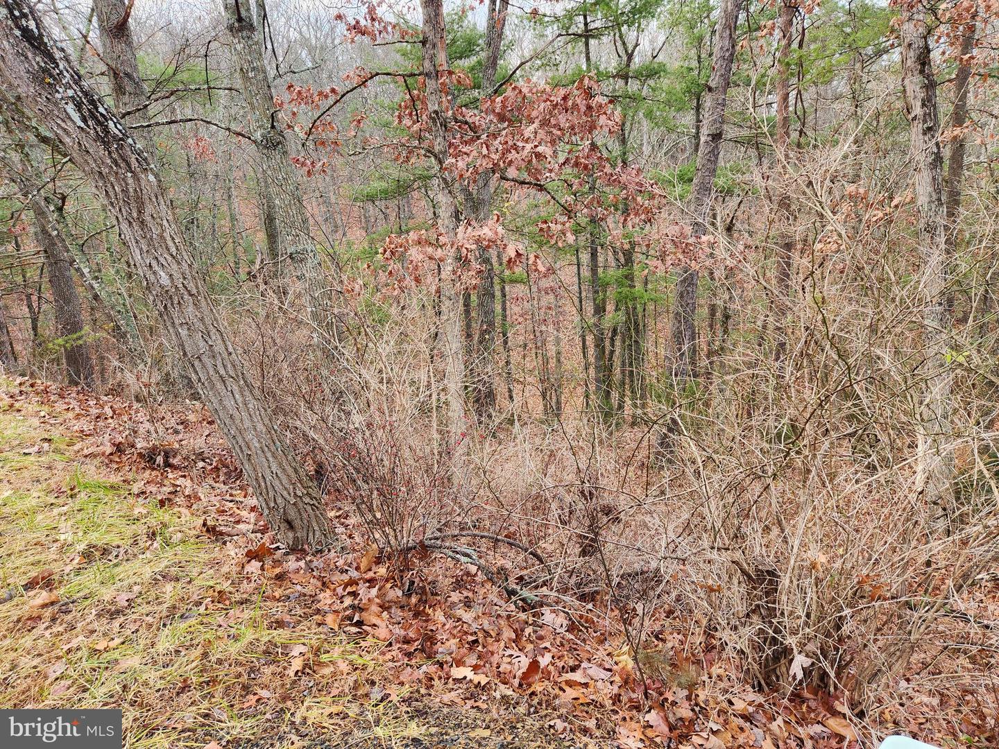 Moccasin Property Photo