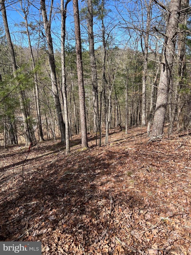 0 Chestnut Ridge Rd #455 Property Photo