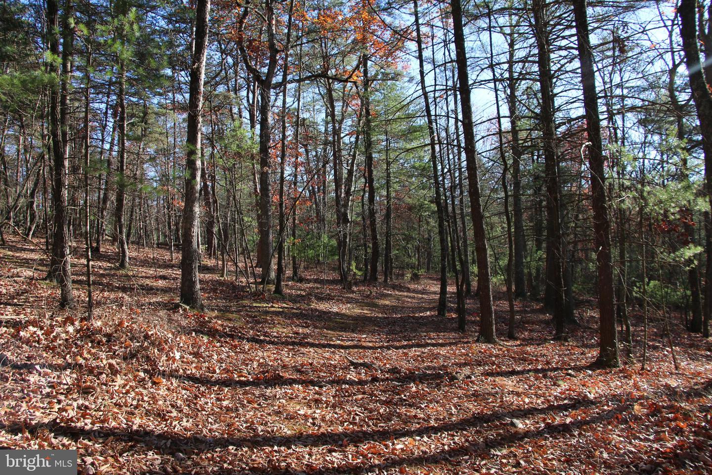Rolly Rd Property Photo 1