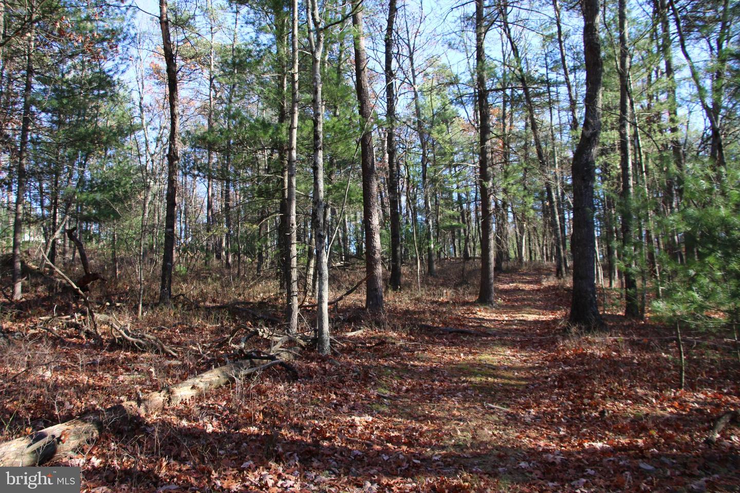 Rolly Rd Property Photo 2