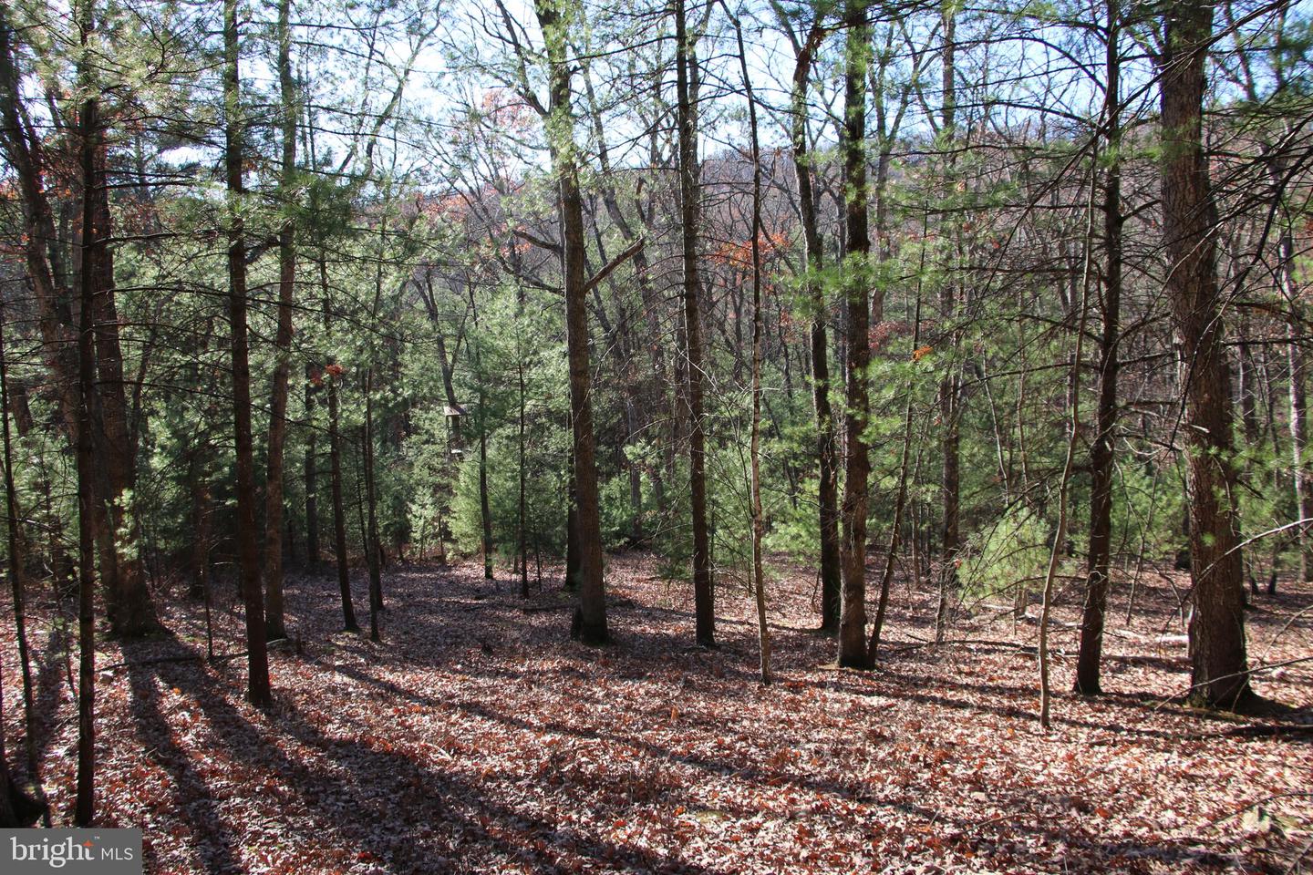 Rolly Rd Property Photo 3