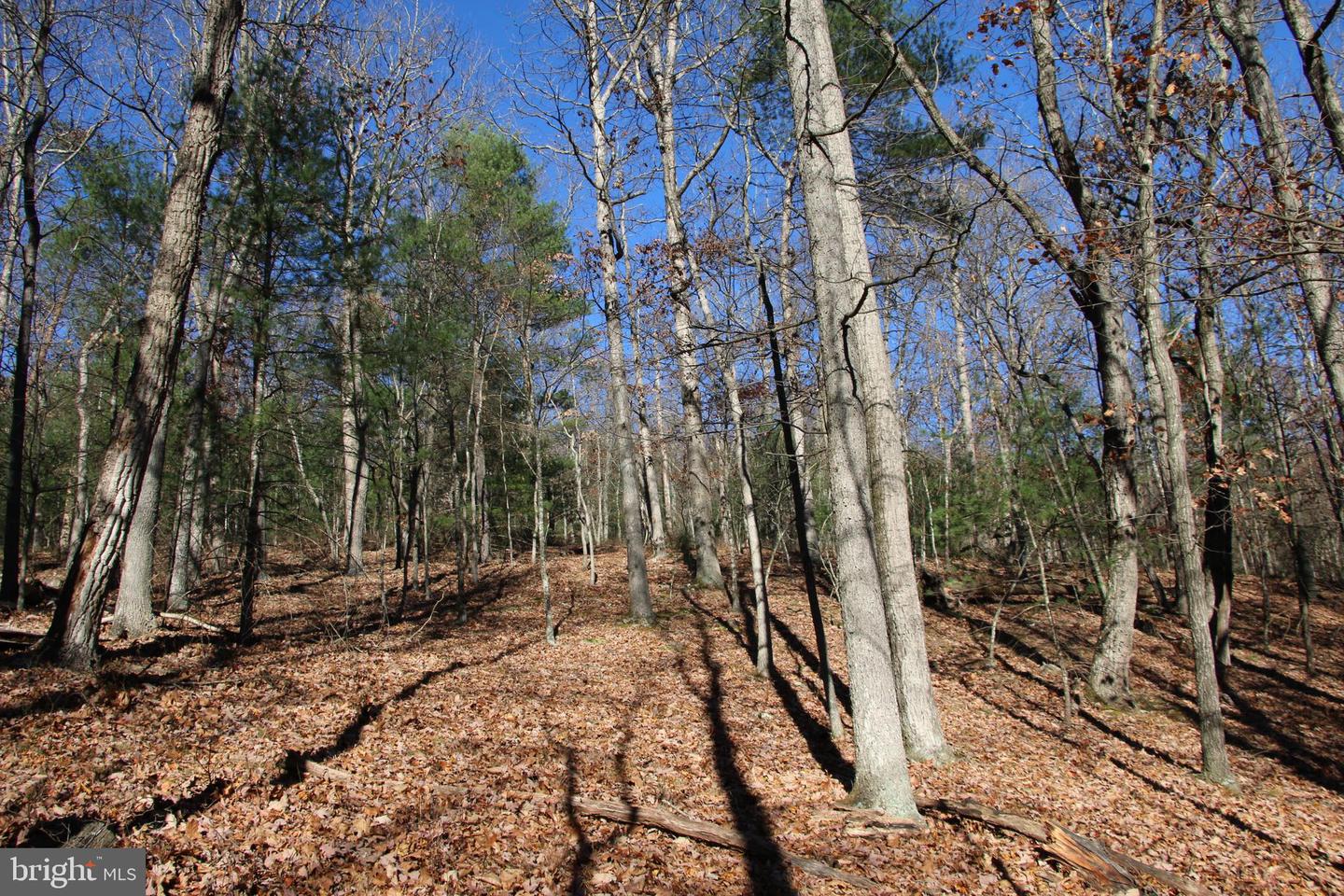 Rolly Rd Property Photo 4