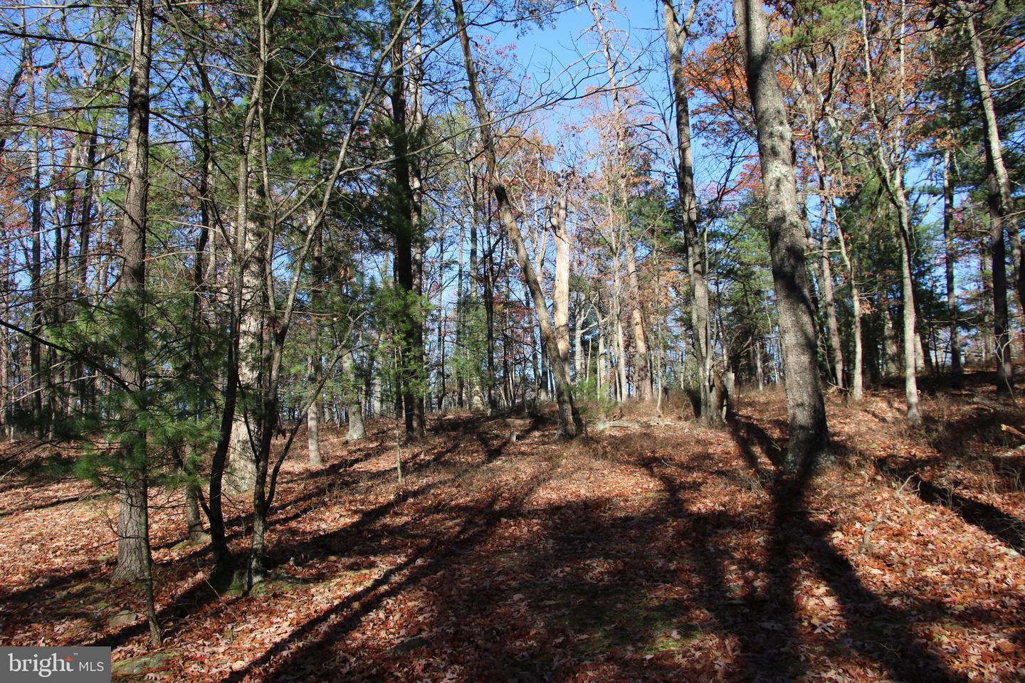 Rolly Rd Property Photo 5