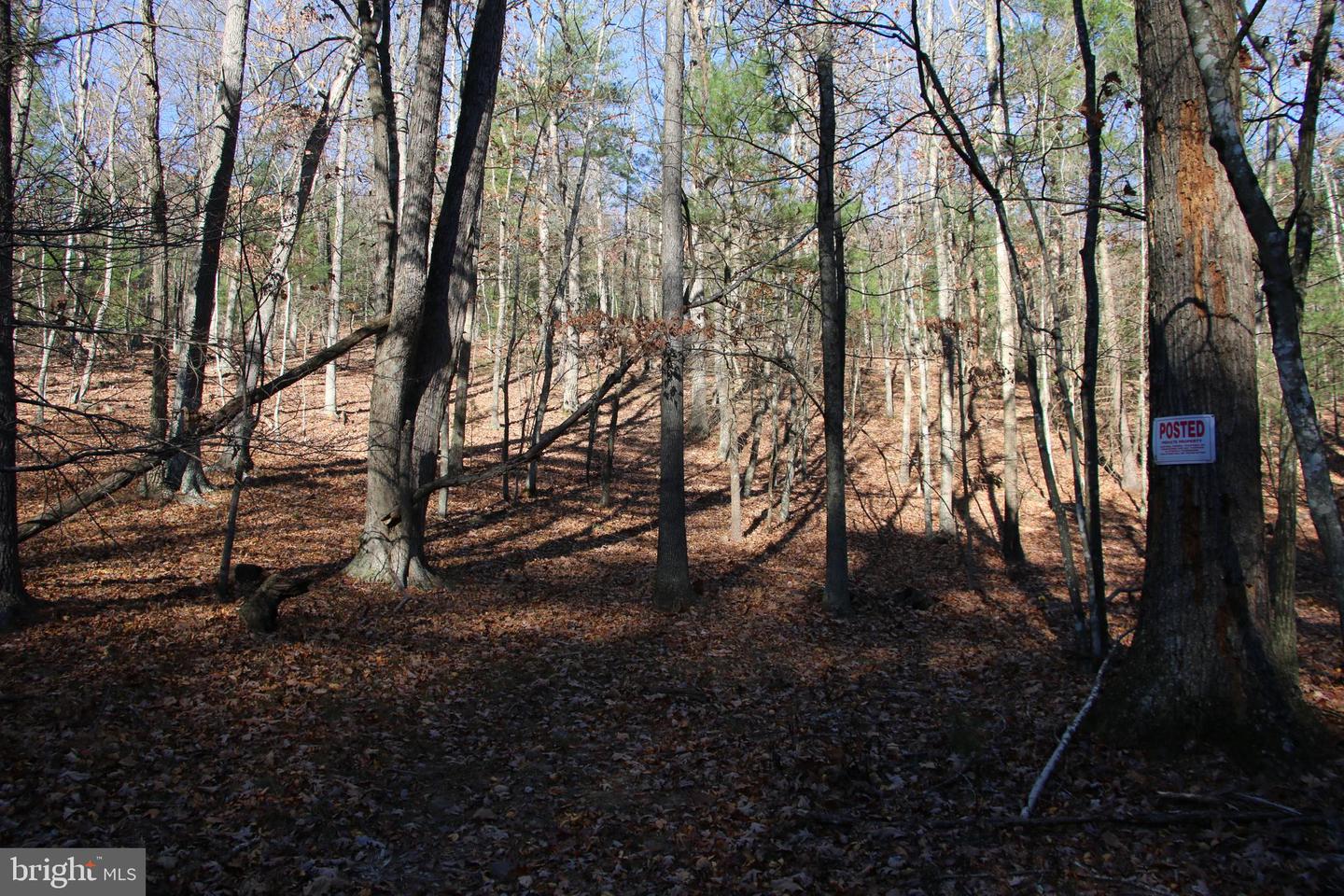 Rolly Rd Property Photo 6