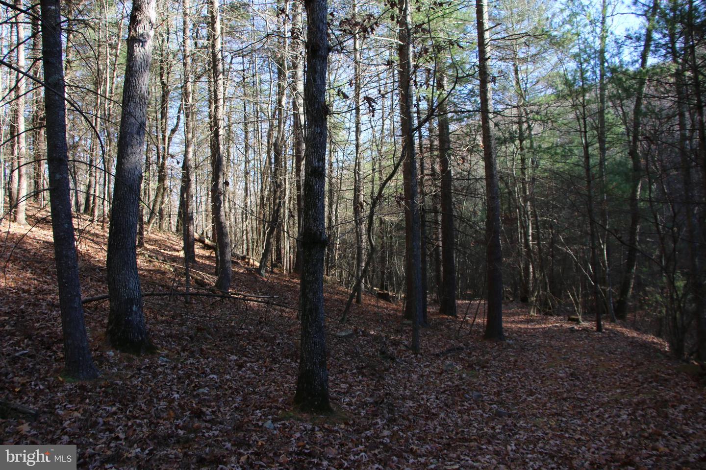 Rolly Rd Property Photo 8
