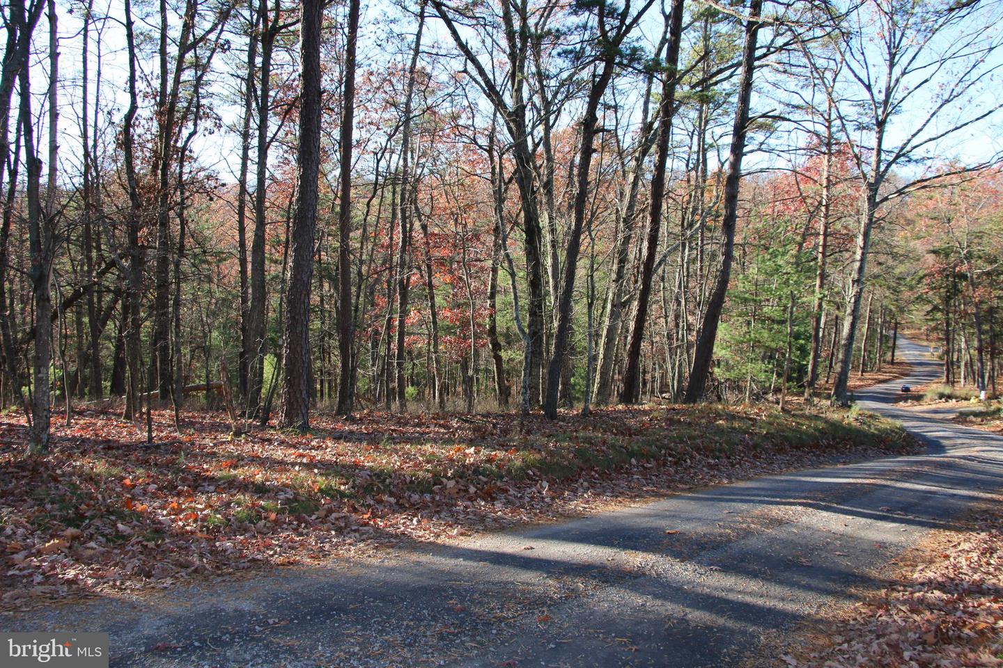 Rolly Rd Property Photo 9