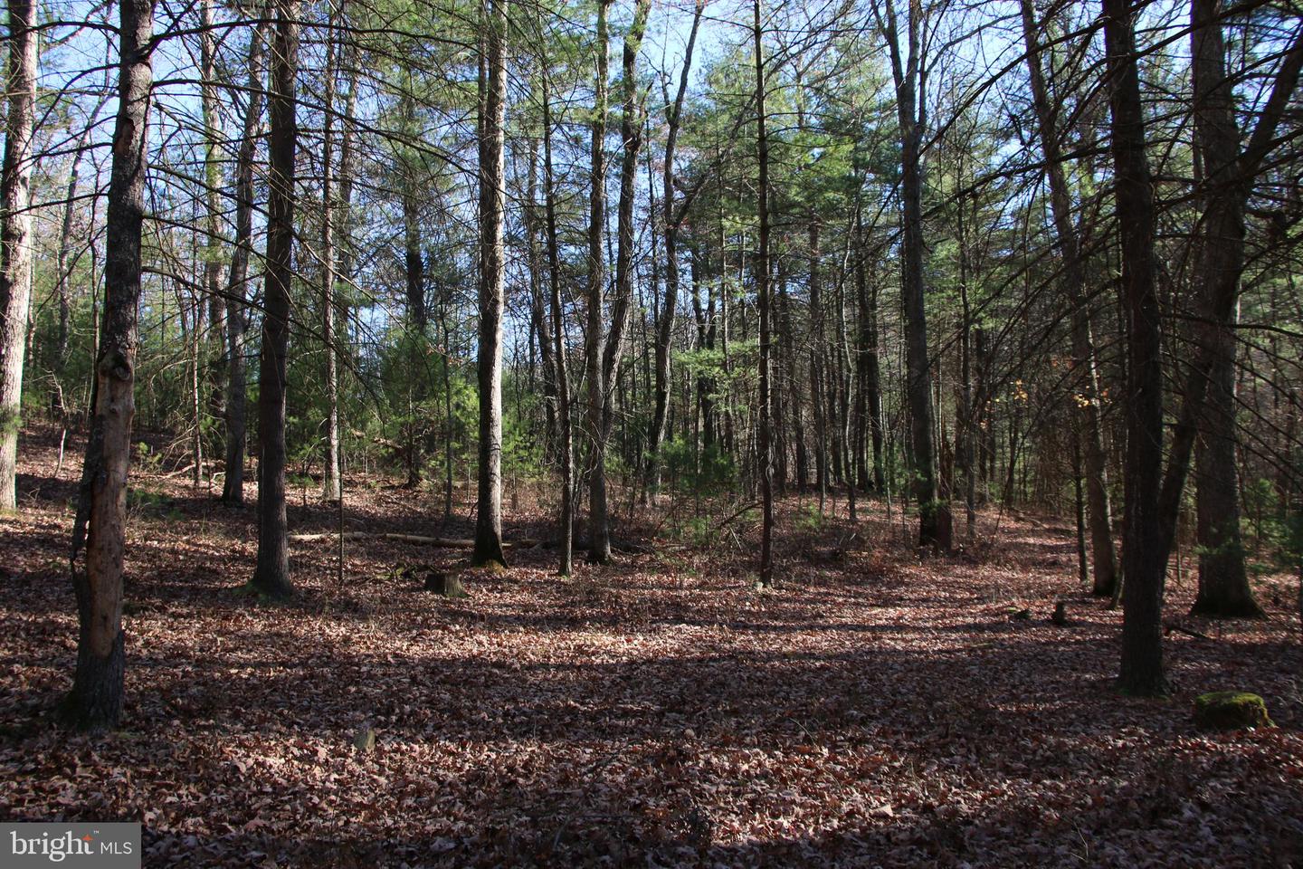 Rolly Rd Property Photo 10