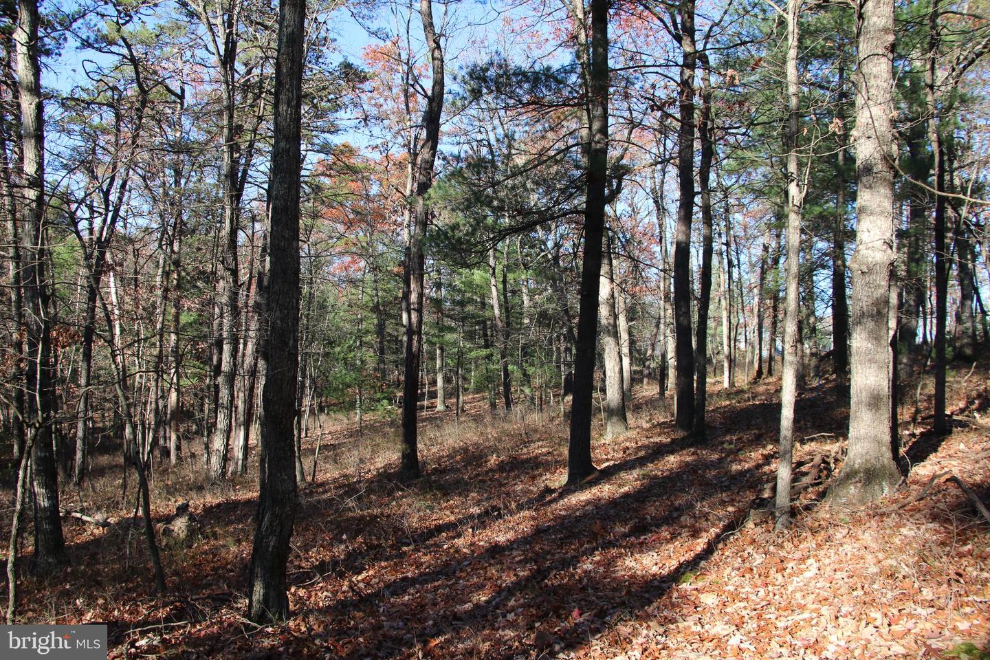 Rolly Rd Property Photo 11