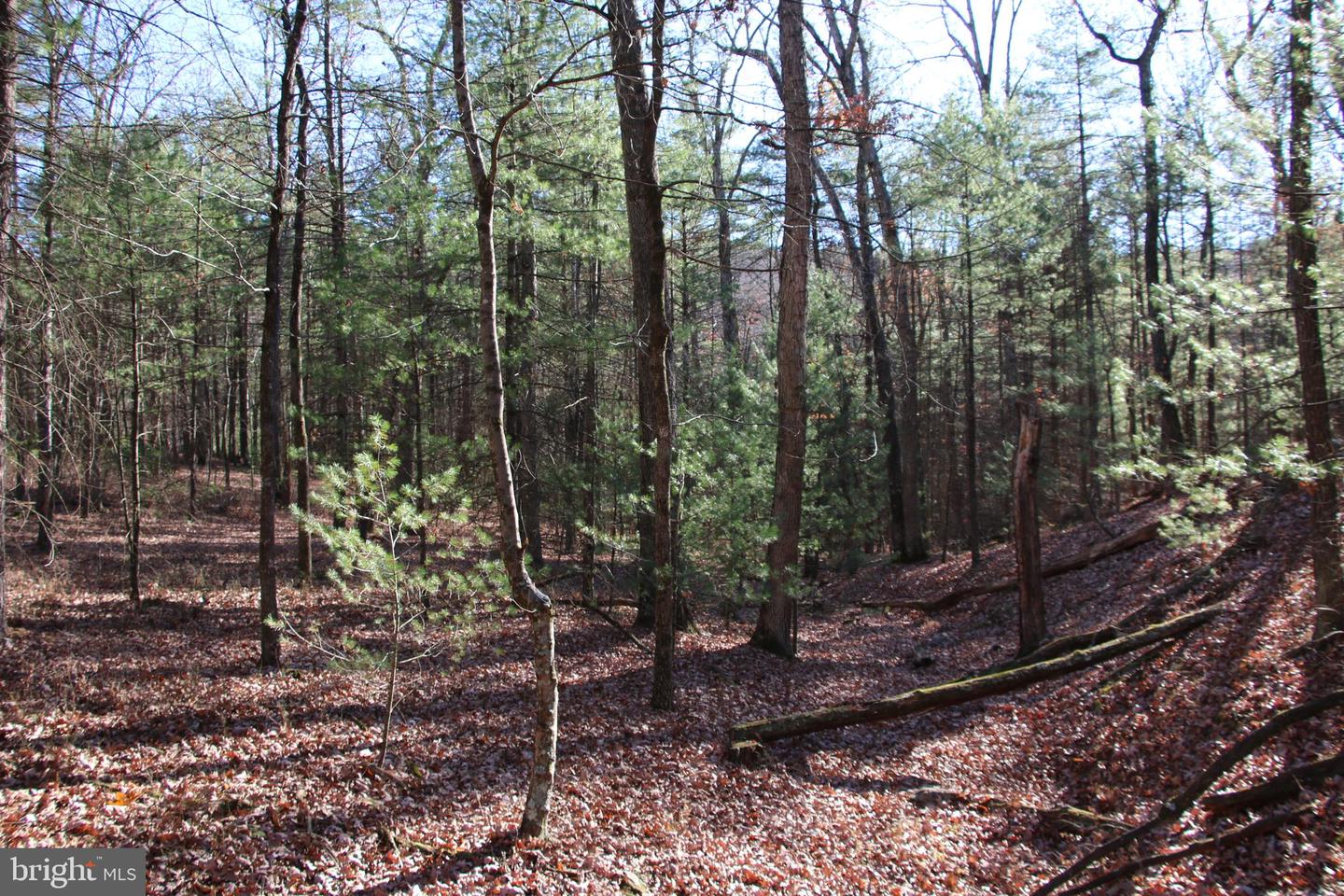 Rolly Rd Property Photo 12
