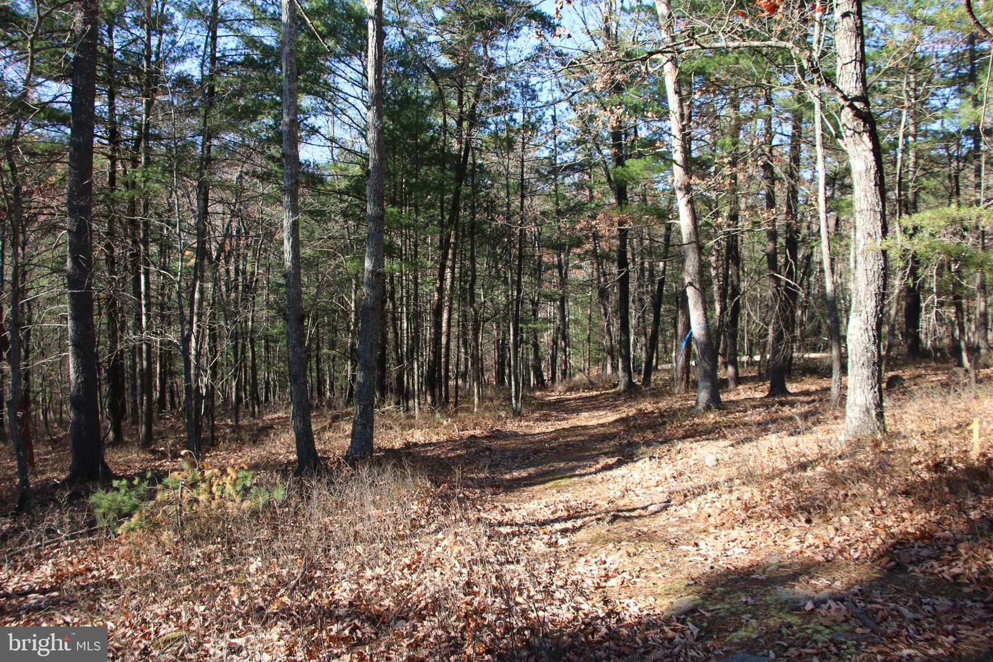 Rolly Rd Property Photo 13