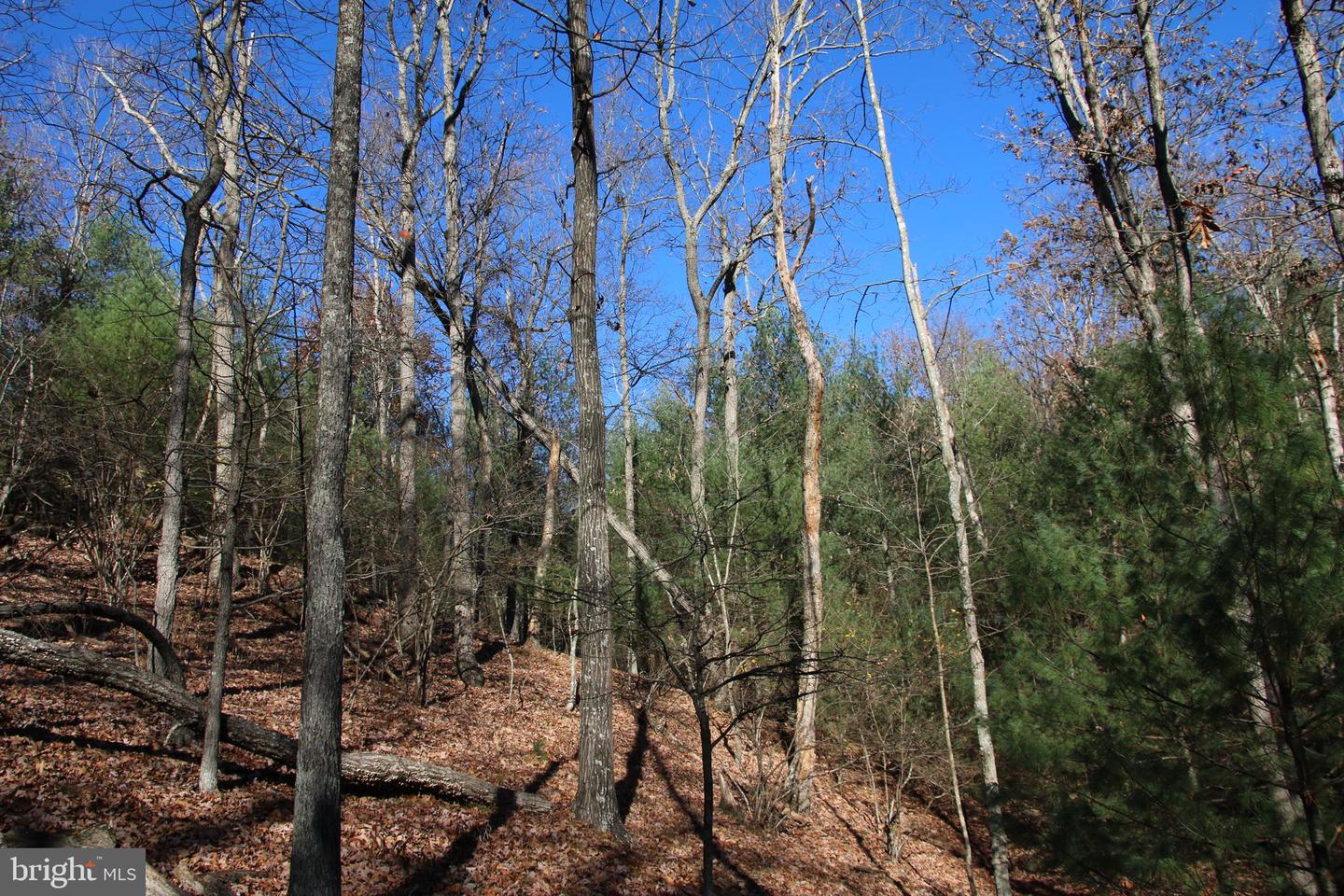 Rolly Rd Property Photo 14
