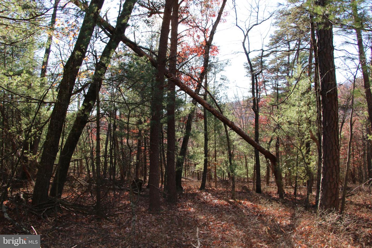 Rolly Rd Property Photo 15