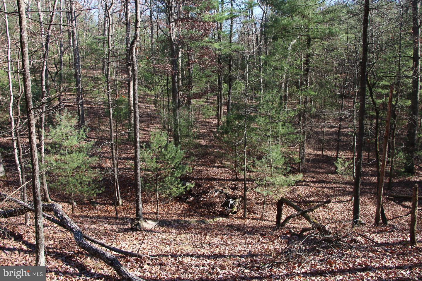 Rolly Rd Property Photo 16