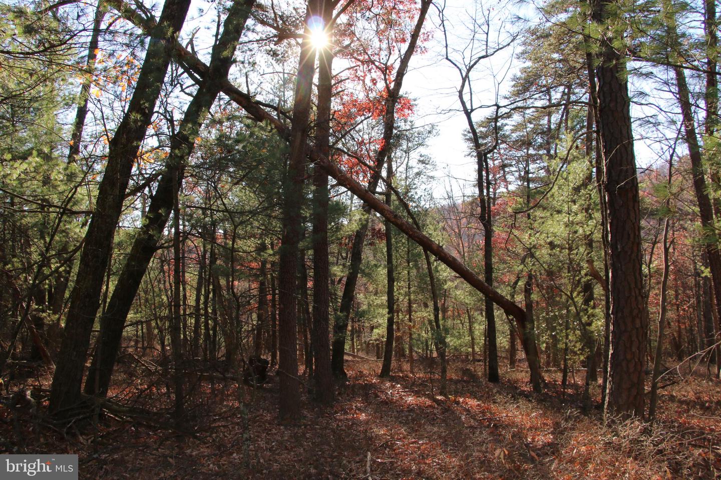 Rolly Rd Property Photo 17