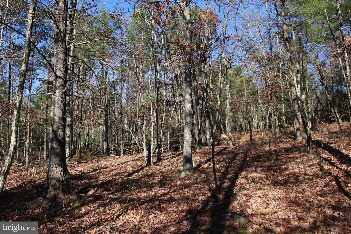 Rolly Rd Property Photo 18