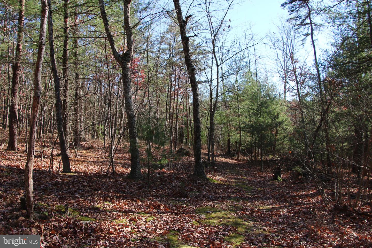 Rolly Rd Property Photo 20