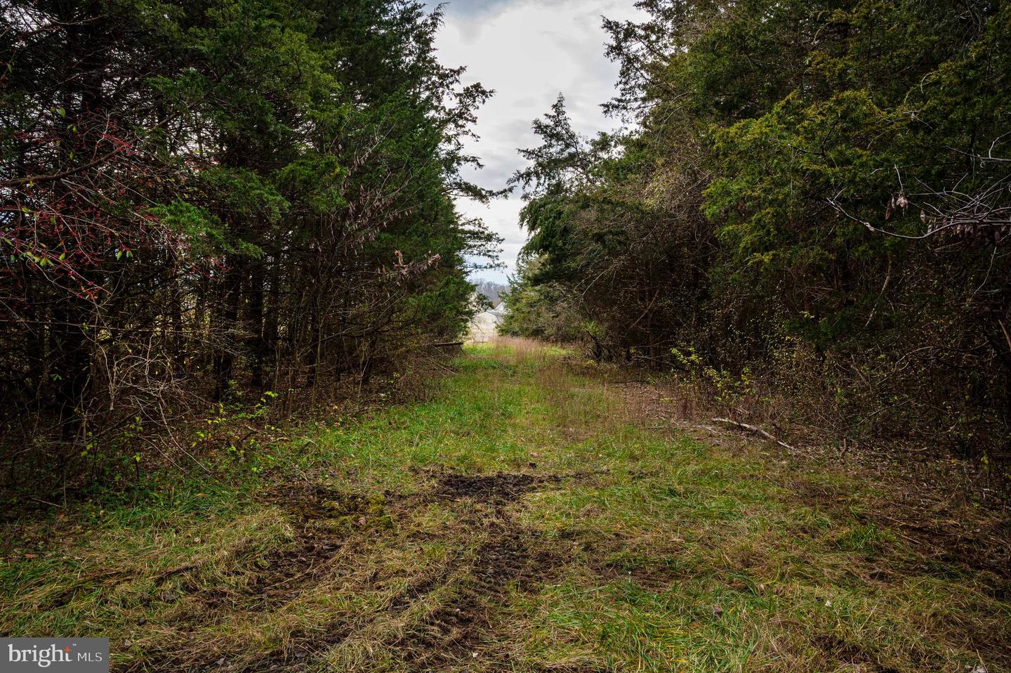 Lot 2 Property Photo 37