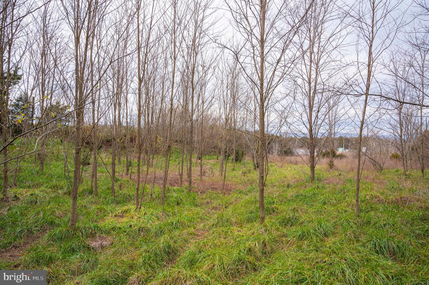 Lot 2 Property Photo 44