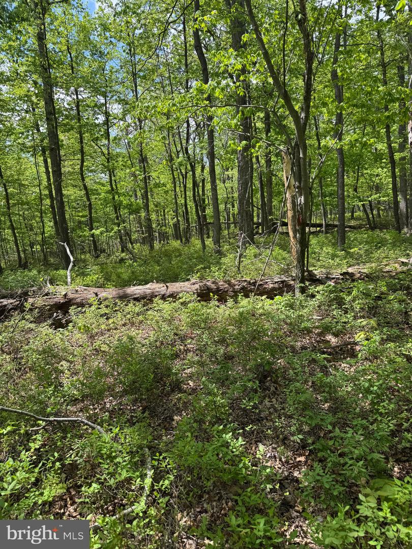 0 Bonnet Hill Property Photo 3