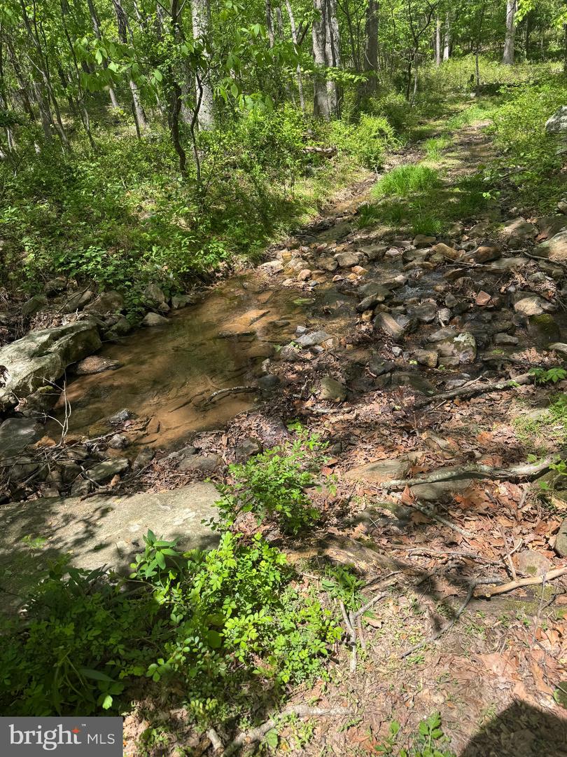 0 Bonnet Hill Property Photo 14