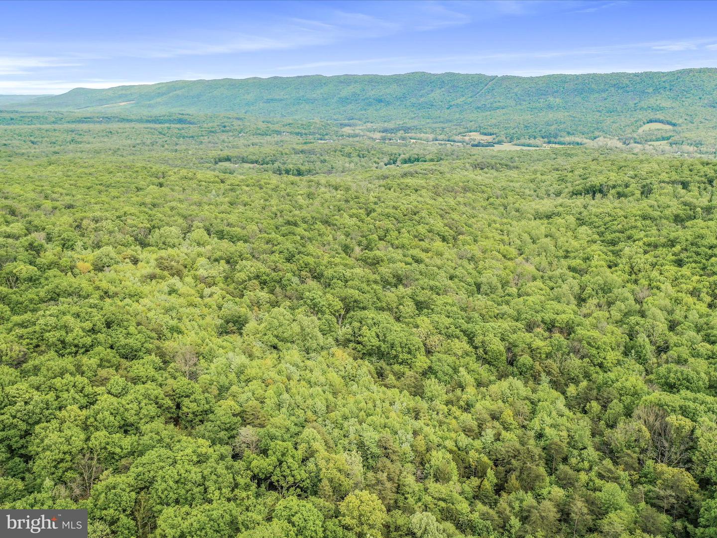 0 Bonnet Hill Property Photo 25