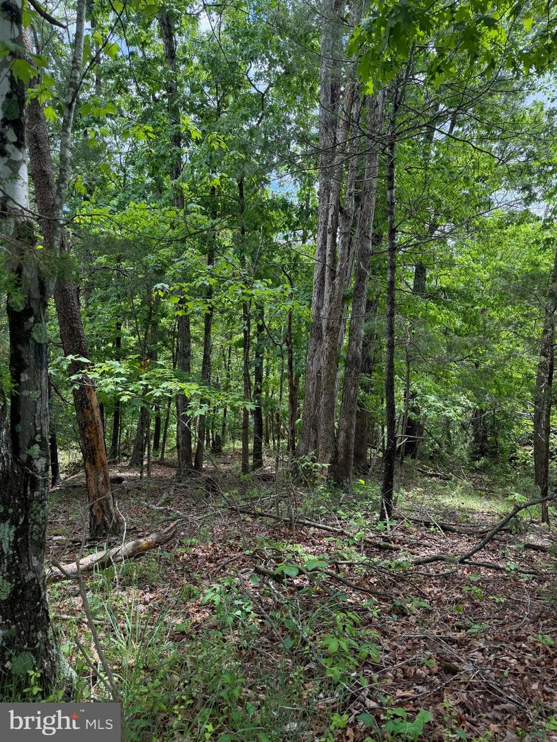 Alum Springs Property Photo