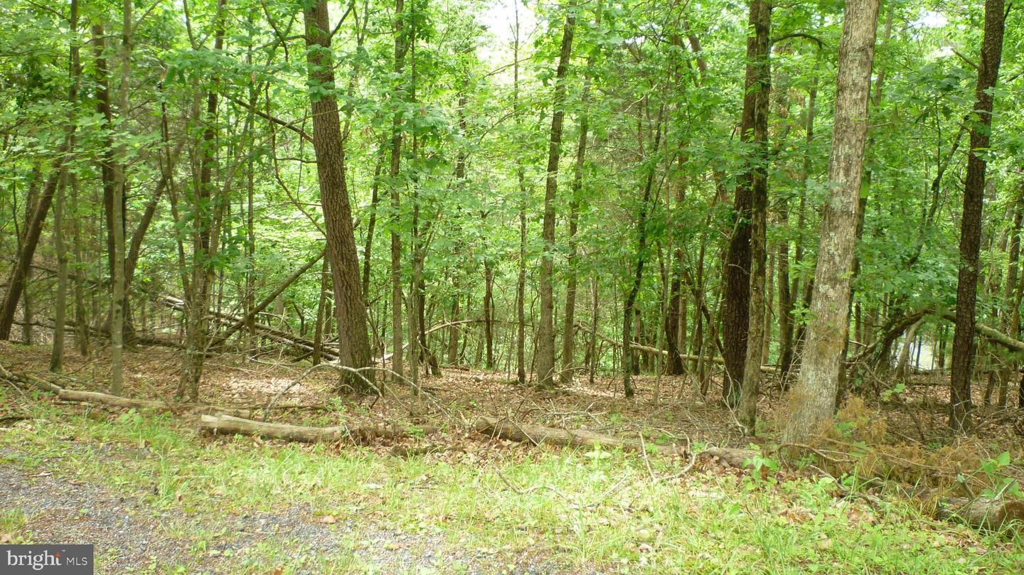 Stuart Dr Property Photo 1