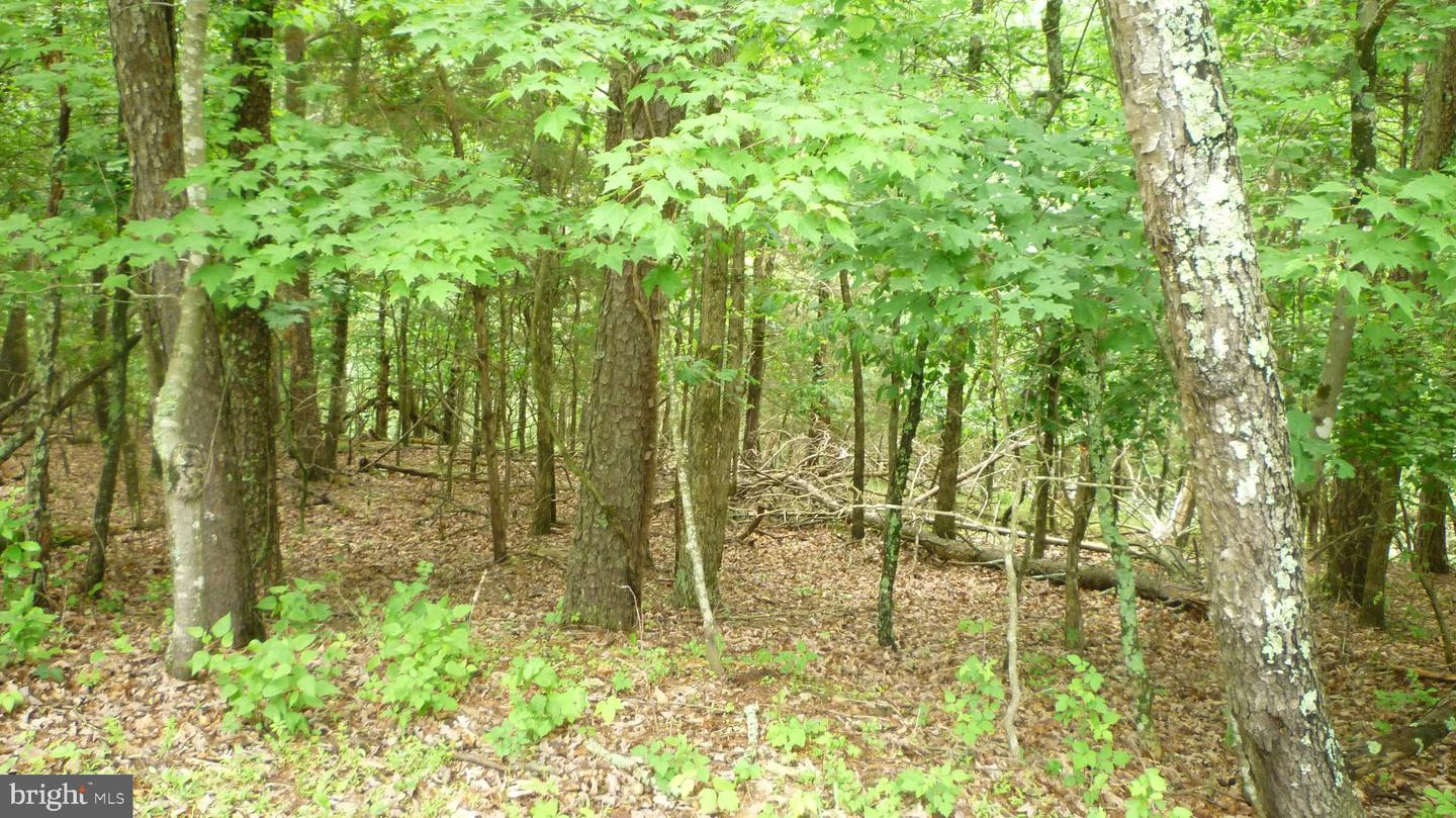 Lot 180 Stuart Drive Property Photo 1