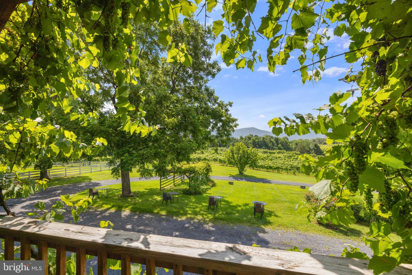 3659 S Ox Rd Property Photo 22