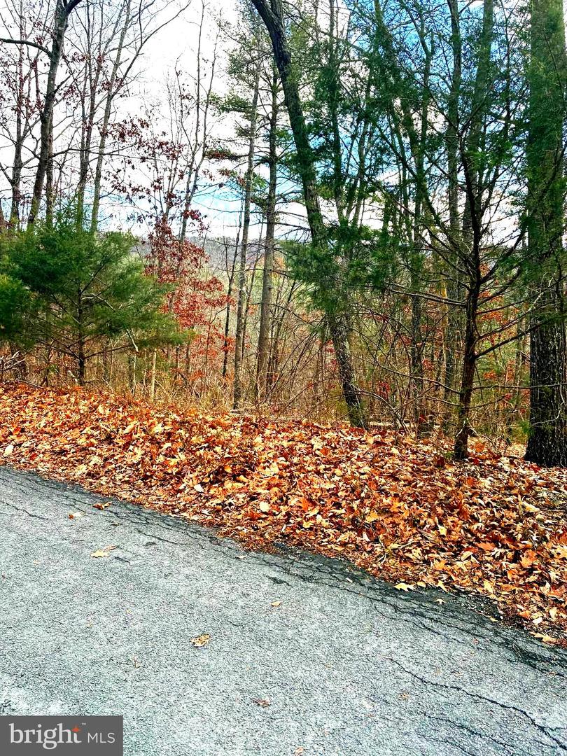 Spitz Ln Property Photo 2