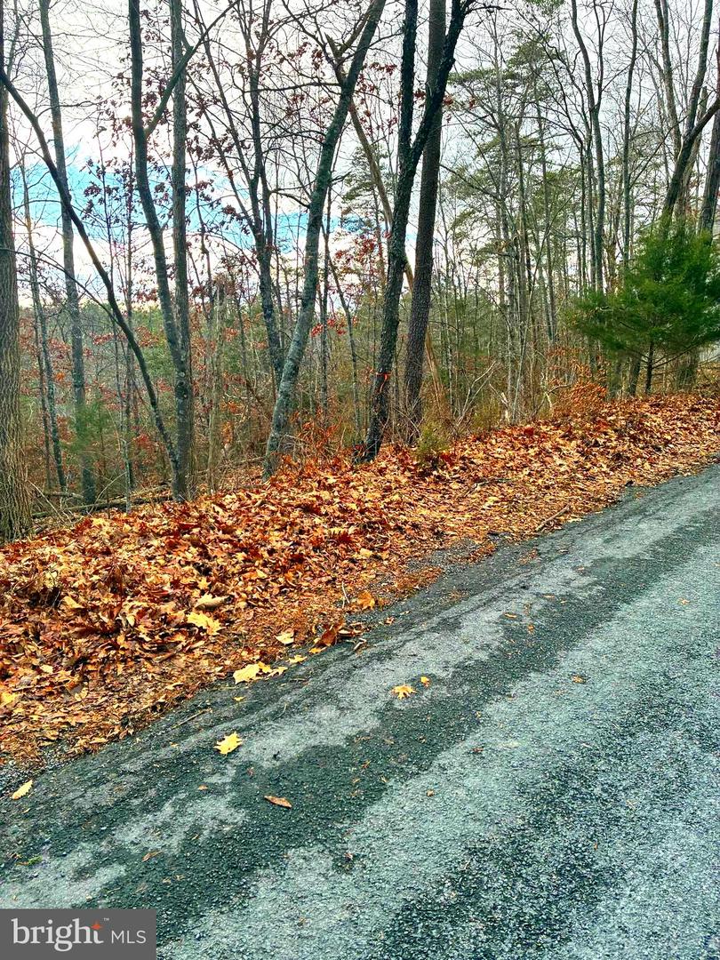 Spitz Ln Property Photo 3