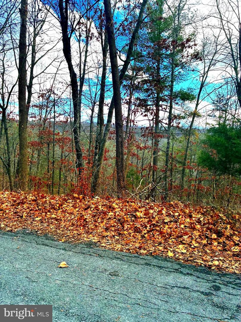 Spitz Ln Property Photo 4