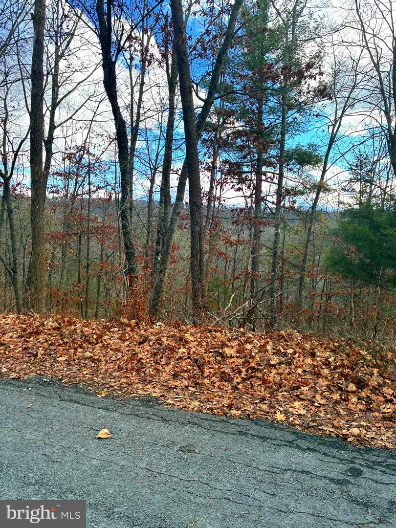 Spitz Ln Property Photo 5
